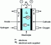 Figure 36 - Schematic diagram of a hydrogen/oxygen fuel cell