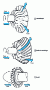 Figure 1 - Impellers for centrifugal, helical and axial machines