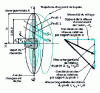 Figure 2 - Geometric notions of a propeller