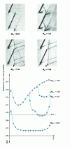 Figure 28 - Transonic flow along a flat plate [striocopies from DFVLR (Deutsche Forschungs und Versuchsanstalt für Luft und Raumfahrt - Göttingen)].