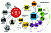 Figure 47 - Schematic view of the H2@scale program