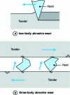 Figure 4 - Elementary phenomena of two- and three-body abrasive wear