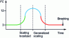 Figure 4 - Evolution of FC crest factor as a function of time