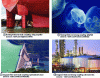 Figure 5 - Classification of fluid-structure interactions for certain situations encountered in industry or nature