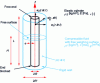 Figure 8 - Elastic cylinder coupled with a compressible fluid and a weighted free surface