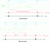 Figure 21 - Example of CSD/CFD code coupling strategies