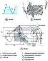 Figure 9 - Different worm thread shapes