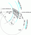 Figure 34 - Continuous hobbing Oerlikon or Klingelnberg