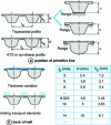 Figure 5 - Defining the radial dimensions of a belt