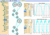 Figure 5 - Definition of input parameters for the dynamic model of a toothed belt transmission