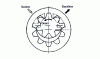 Figure 8 - Single internal gear pump