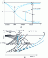 Figure 8 - Thermodynamic state of gas flow in a convergent-divergent nozzle and evolution of pressures through the nozzle