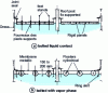 Figure 12 - Internal bolted floating roofs