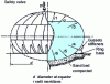 Figure 22 - Spheroid