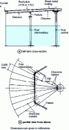 Figure 4 - Supported fixed roof