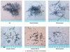 Figure 13 - Chip shape for different pressure configurations when machining Ti555-3 titanium alloy [19].