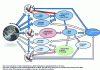 Figure 18 - Simplified synopsis of high-pressure assistance interactions