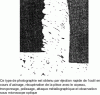 Figure 6 - Micrograph showing metal flow in the deformation zones of a low-carbon steel (U0 = 264 m/min) (magnification: 130) [19]