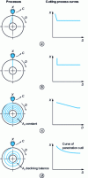 Figure 20 - Gear hobbing processes