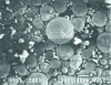 Figure 19 - Eroded particles (steel part - copper electrode) from [11]