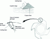 Figure 3 - Tooth materialization