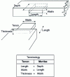 Figure 22 - Mortise and tenon joints: principle and terminology