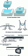 Figure 3 - Different ways to shape by bending