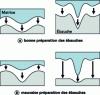 Figure 6 - Developing drafts