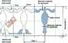 Figure 4 - Adding a tool to be tracked to the strip layout