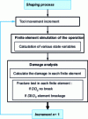 Figure 20 - Schematic diagram of the fully coupled approach