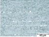 Figure 7 - Strip structure on DP steel (martensite in white)