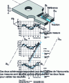 Figure 14 - Example of a sample for damage characterization by microhardness measurement