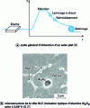 Figure 7 - Production and microstructure of HLE sheet metal 