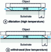 Figure 27 - Differentiated expansion