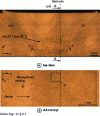 Figure 9 - Analysis of material mixing in butt welding at a feed speed of 600 mm/min [20].