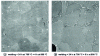 Figure 21 - Inertial friction-welded N18/N18 bond: effect of increasing post-weld tempering time on white zone microstructure (M23C6 precipitation) (from [19])