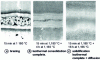 Figure 25 - Illustration of the various diffusion-soldering stages: AM1/AM1 assembly, NiCrB1055 filler metal, 50 µm initial assembly gap (from [26])