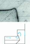 Figure 6 - Birth of a material pin in the riveting mechanism