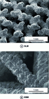 Figure 11 - SEM micrograph of lattice-like structures fabricated by SLM and EBM