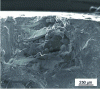 Figure 5 - SEM micrographs of non-spherical porosities in an EBM part