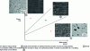 Figure 8 - Volume energy density diagram – Schematic representation of the joint effect of beam power and speed on the relative density of the material [9].