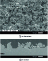 Figure 4 - Views of coalesced powders (Ti6Al4V SLM sample)