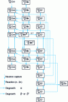 Figure 17 - Example of an isotopic filiation chain for the heavy nuclei of a nuclear fuel subjected to neutron irradiation (part 3/3)