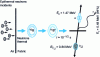 Figure 8 - Diagram of the neutron 10B interaction, after [7]