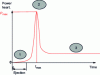 Figure 18 - Typical power evolution during an RIA