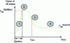 Figure 19 - Typical evolution of the hot-spot factor during an RIA