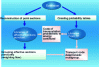 Figure 2 - Simplified library development scheme for Monte Carlo and deterministic transport codes