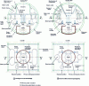 Figure 3 - Examples of loop reactor layout in a submarine