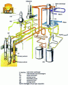 Figure 11 - Superphénix: main and secondary sodium circuits (from Novatome doc.)