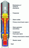 Figure 2 - NuScale reactor section